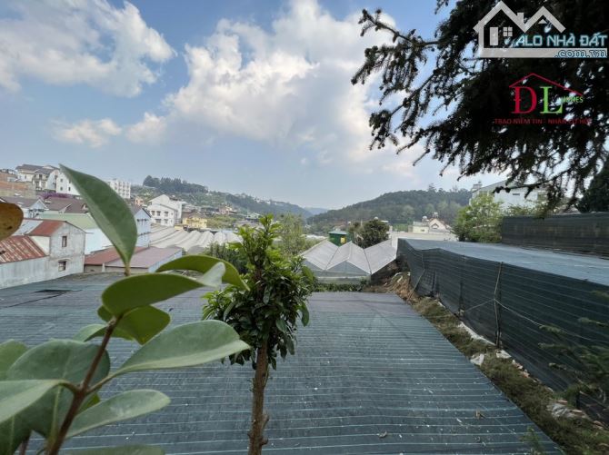 BÁN NHANH lô đất đẹp 1249m2 giá 24tr/m2 đường Hùng Vương Đà Lạt view thung lũng - 3