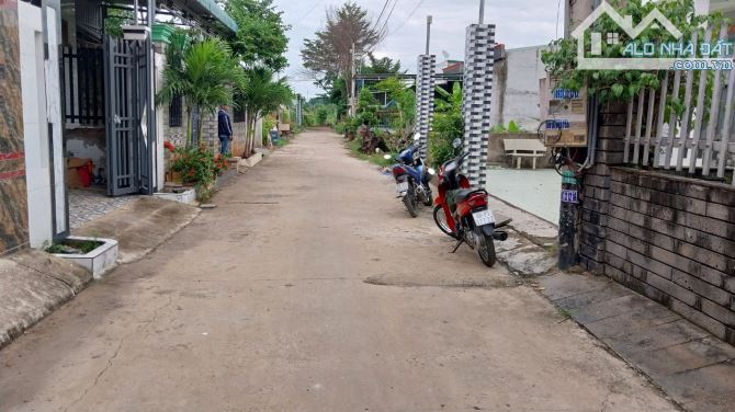 Cần bán căn nhà Mái Thái + Đất 250m, xã Sông Trầu, huyện Trảng Bom - 4