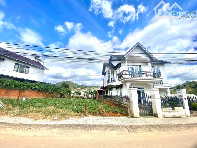 Bán Villa Mặt Tiền (317m2 Ngang 11m Nở Hậu 12m) Đường Ô Tô Né Nhau, Vị Trí Đầy Đủ Tiện ích