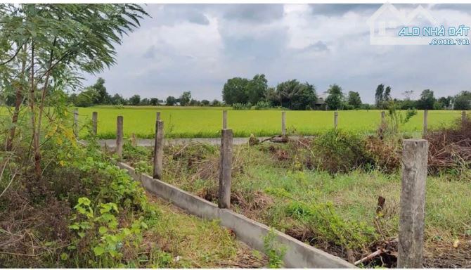 CẦN BÁN 500M2 ĐẤT LÀM NHÀ VƯỜN - ĐƯỜNG XE HƠI TỚI ĐẤT - SỔ HỒNG RIÊNG - 1