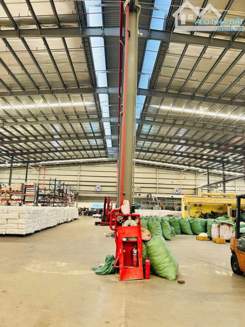 Cho thuê kho, xưởng  3.000m2 - 6.000m2 tại Thuận Thành, Bắc Ninh - 1