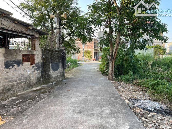 🍍Lô đất ngay sát nhà văn hóa Tê Chử, Đồng Thái, AD, 60m2, giá 1,55 tỷ, ngõ ô tô 7 chỗ - 3