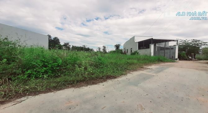 Lô đất sau khu công nghiệp Phan Thiết giá siêu rẻ - 3