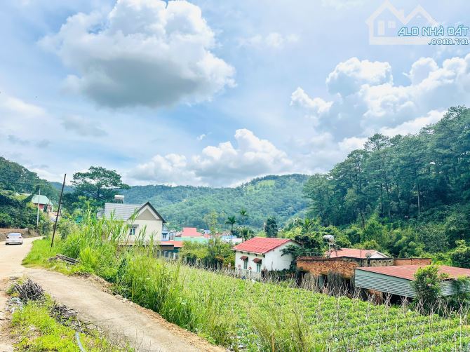 HƠN 1,5HA ĐẤT ĐẸP ĐẦU TƯ KHU LÀNG DẠI DƯƠNG ĐỨC TRỌNG CÁCH TRUNG TÂM ĐÀ LẠT 12KM