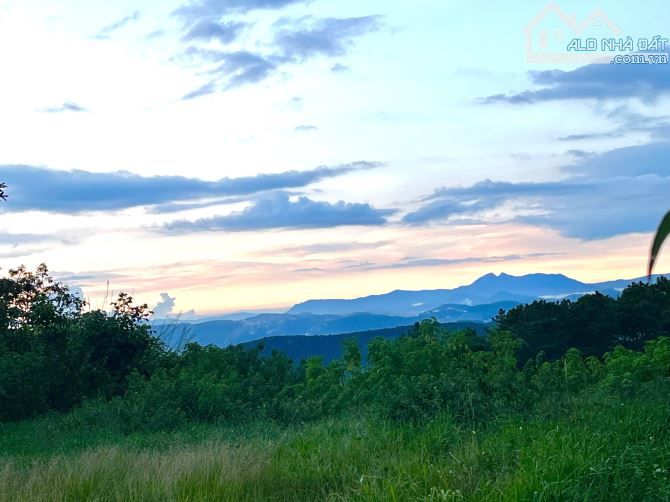 CẦN BÁN LÔ ĐẤT VIEW SĂN MẤY BẰNG PHẲNG ĐƯỜNG RỘNG, DIỆN TÍCH 443M2 FULL THỔ CHỈ VỚI 8 TỶTL