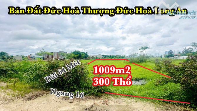 Bán 1009m2 đất đường bê tông đức hoà thượng