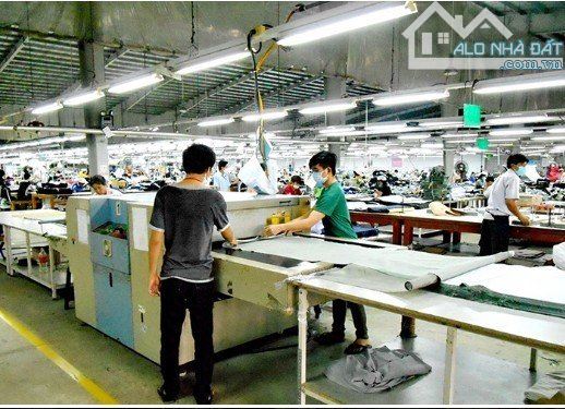 Cho thuê kho xưởng 5.500m2 Đường Số 8, KCX Linh Trung, Thủ Đức. - 1