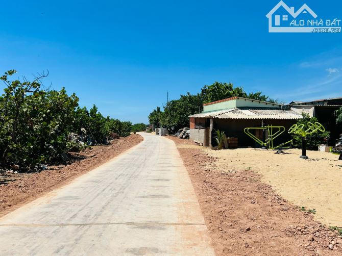 VIEW TRỰC DIỆN BIỂN HOÀI HẢI XINH ĐẸP, 230M2, ĐƯỜNG VEN BIỂN XE TẢI TUNG TĂNG - 1