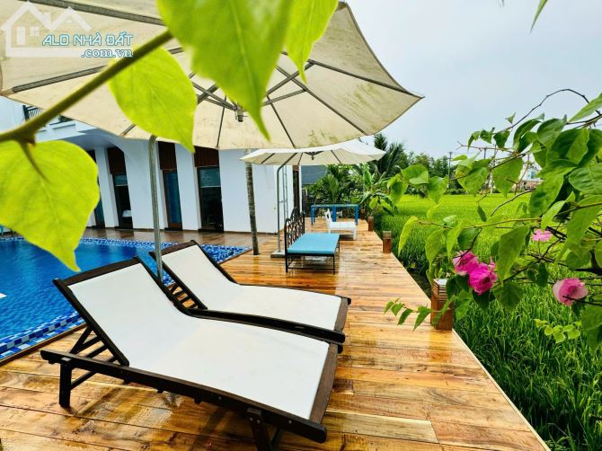 Villa view lúa An Mỹ, Cẩm Châu, tp Hội An có hồ bơi - 15