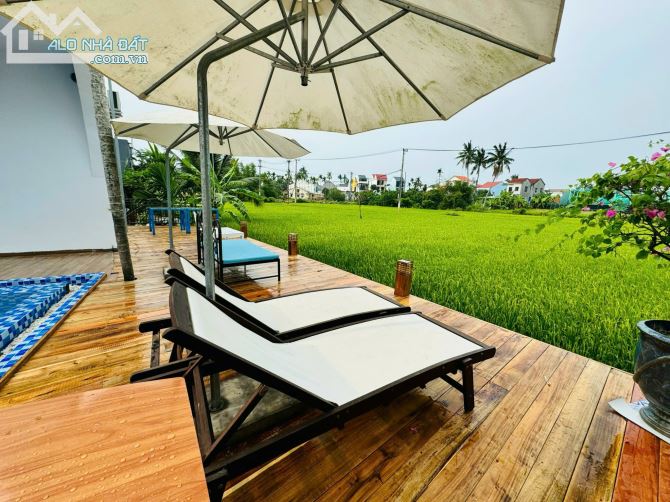 Villa view lúa An Mỹ, Cẩm Châu, tp Hội An có hồ bơi - 17