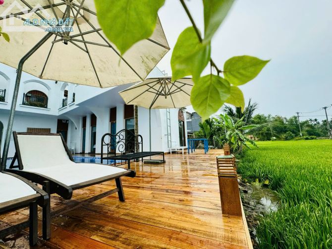 Villa view lúa An Mỹ, Cẩm Châu, tp Hội An có hồ bơi - 20