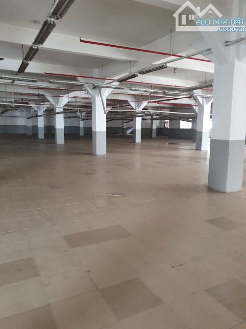 Cho thuê kho xưởng 5.500m2 Đường Số 8, KCX Linh Trung, Thủ Đức. - 2