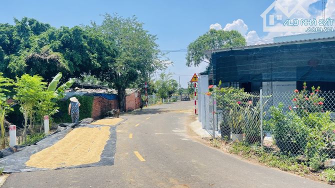 BÁN ĐẤT PHƯỚC LONG THỌ ĐẤT ĐỎ BÀ RỊA VŨNG TÀU - 2