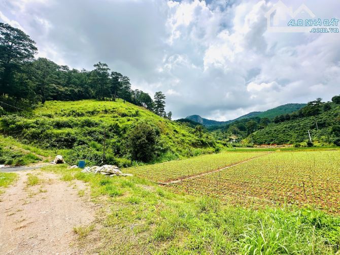 HƠN 1,5HA ĐẤT ĐẸP ĐẦU TƯ KHU LÀNG DẠI DƯƠNG ĐỨC TRỌNG CÁCH TRUNG TÂM ĐÀ LẠT 12KM - 2