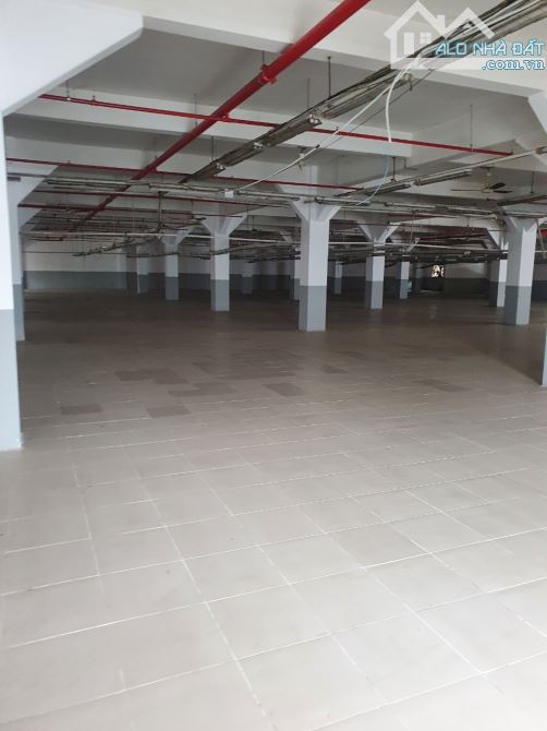 Cho thuê kho xưởng 5.500m2 Đường Số 8, KCX Linh Trung, Thủ Đức. - 3