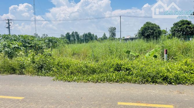 BÁN ĐẤT PHƯỚC LONG THỌ ĐẤT ĐỎ BÀ RỊA VŨNG TÀU - 3