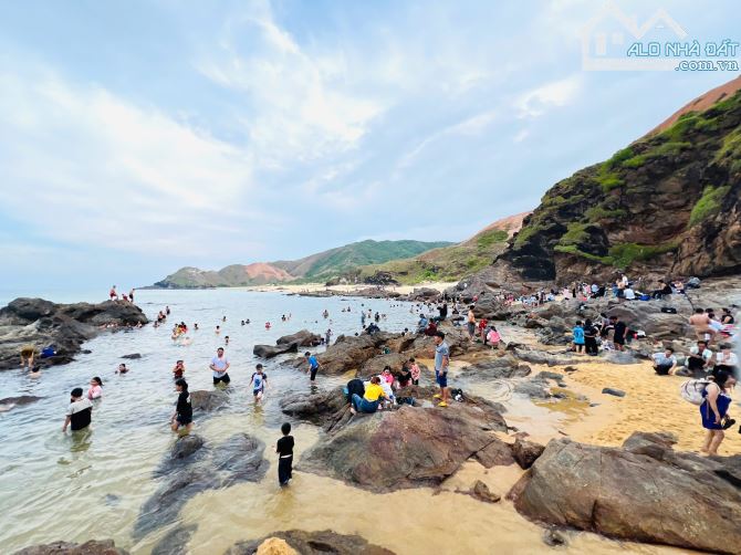 VIEW TRỰC DIỆN BIỂN HOÀI HẢI XINH ĐẸP, 230M2, ĐƯỜNG VEN BIỂN XE TẢI TUNG TĂNG - 3