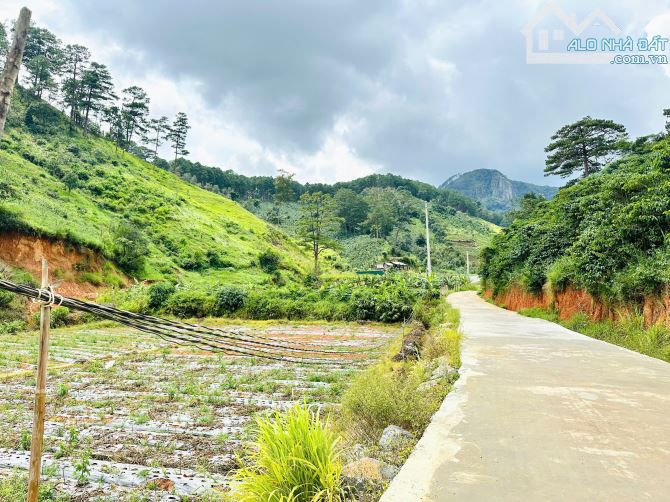 HƠN 1,5HA ĐẤT ĐẸP ĐẦU TƯ KHU LÀNG DẠI DƯƠNG ĐỨC TRỌNG CÁCH TRUNG TÂM ĐÀ LẠT 12KM - 3