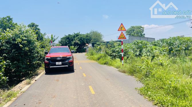 BÁN ĐẤT PHƯỚC LONG THỌ ĐẤT ĐỎ BÀ RỊA VŨNG TÀU - 4