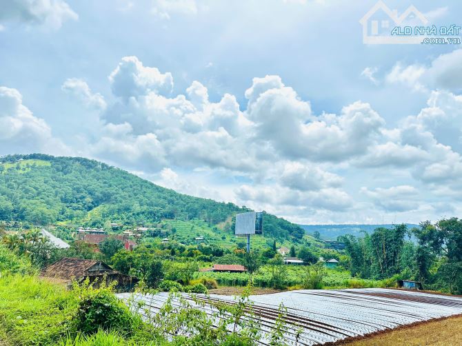 HƠN 1,5HA ĐẤT ĐẸP ĐẦU TƯ KHU LÀNG DẠI DƯƠNG ĐỨC TRỌNG CÁCH TRUNG TÂM ĐÀ LẠT 12KM - 4