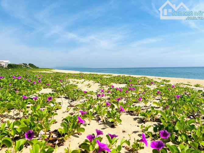 VIEW TRỰC DIỆN BIỂN HOÀI HẢI XINH ĐẸP, 230M2, ĐƯỜNG VEN BIỂN XE TẢI TUNG TĂNG - 6