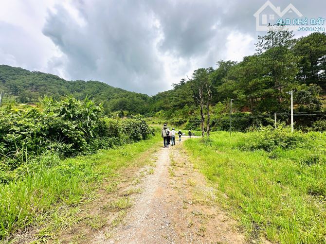 HƠN 1,5HA ĐẤT ĐẸP ĐẦU TƯ KHU LÀNG DẠI DƯƠNG ĐỨC TRỌNG CÁCH TRUNG TÂM ĐÀ LẠT 12KM - 7