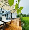 Villa view lúa An Mỹ, Cẩm Châu, tp Hội An có hồ bơi