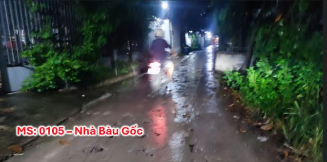 Bán nhà Tân Kiên Bình Chánh đường dẫn ra Dương Đình Cúc - 2