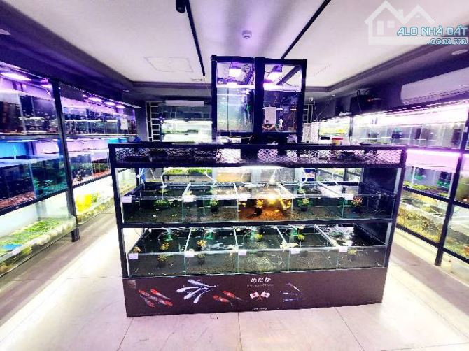 SIÊU KHỦNG - Nhà phố - Kinh doanh - Oto đỗ cửa - Đường Quan Hoa 145m2 8 tầng 59.5 tỷ - 3