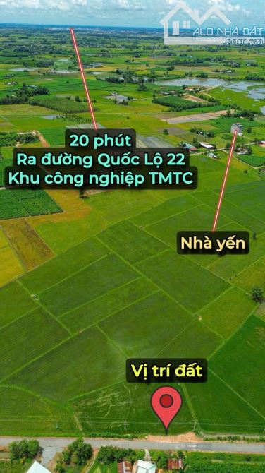 ✨ Chỉ 300Tr sở hữu ngay lô đất Mặt đường NHỰA sẵn 60m2 ONT, KDC đông, Đất Đẹp không mồ mả - 10