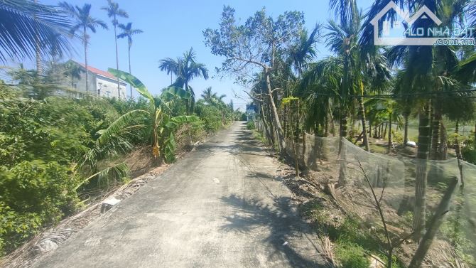 Bán lô đất 828m Tư Thủy Dưong Kinh Hải Phòng - 1