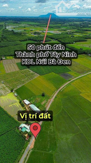 ✨ Chỉ 300Tr sở hữu ngay lô đất Mặt đường NHỰA sẵn 60m2 ONT, KDC đông, Đất Đẹp không mồ mả - 14