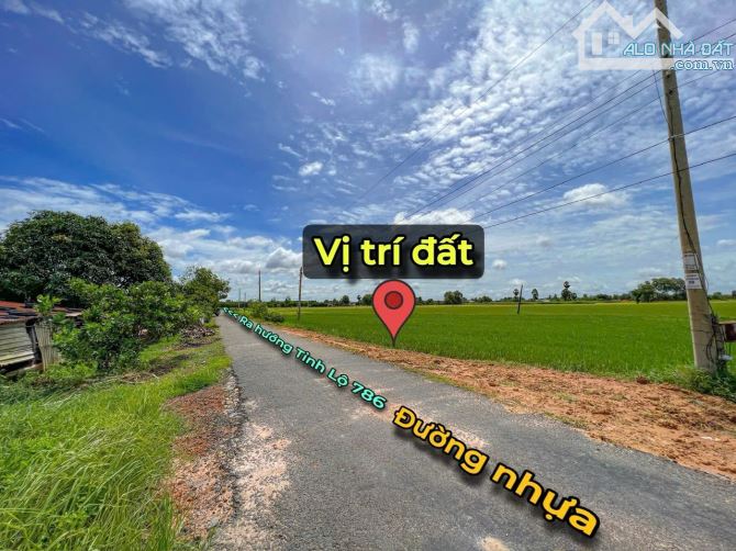✨ Chỉ 300Tr sở hữu ngay lô đất Mặt đường NHỰA sẵn 60m2 ONT, KDC đông, Đất Đẹp không mồ mả - 2