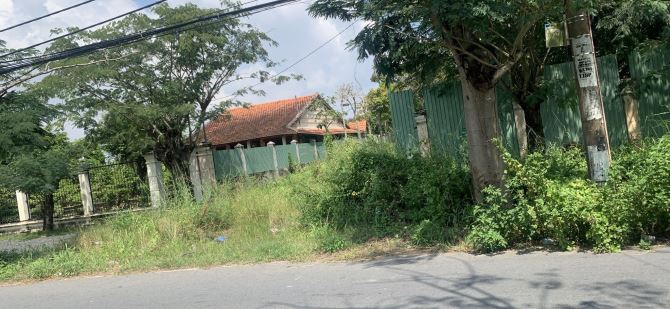 Đất Giáo Dục MT Ngô Quang Thắm Nhà Bè 10.000m2 Chỉ Còn 90 Tỷ - 3