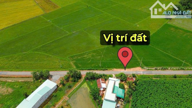 ✨ Chỉ 300Tr sở hữu ngay lô đất Mặt đường NHỰA sẵn 60m2 ONT, KDC đông, Đất Đẹp không mồ mả - 5