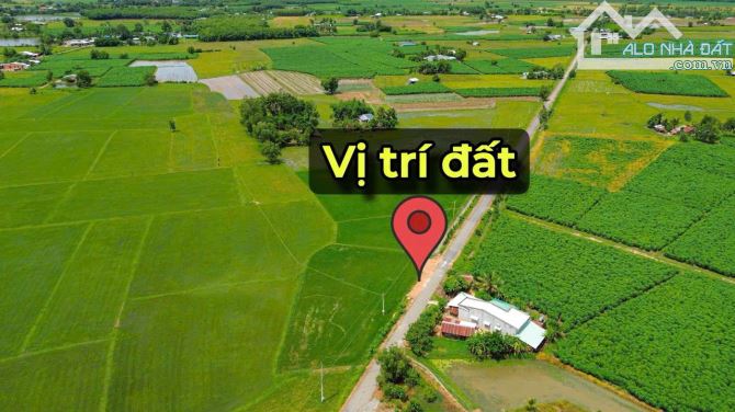✨ Chỉ 300Tr sở hữu ngay lô đất Mặt đường NHỰA sẵn 60m2 ONT, KDC đông, Đất Đẹp không mồ mả - 6
