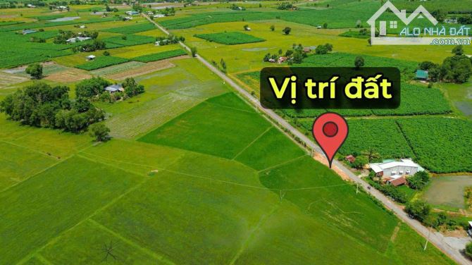 ✨ Chỉ 300Tr sở hữu ngay lô đất Mặt đường NHỰA sẵn 60m2 ONT, KDC đông, Đất Đẹp không mồ mả - 7