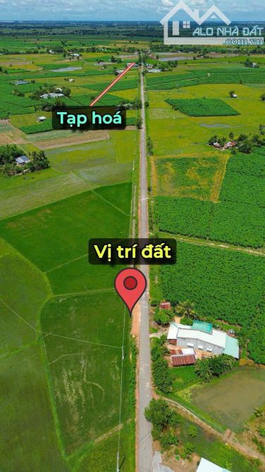 ✨ Chỉ 300Tr sở hữu ngay lô đất Mặt đường NHỰA sẵn 60m2 ONT, KDC đông, Đất Đẹp không mồ mả - 9
