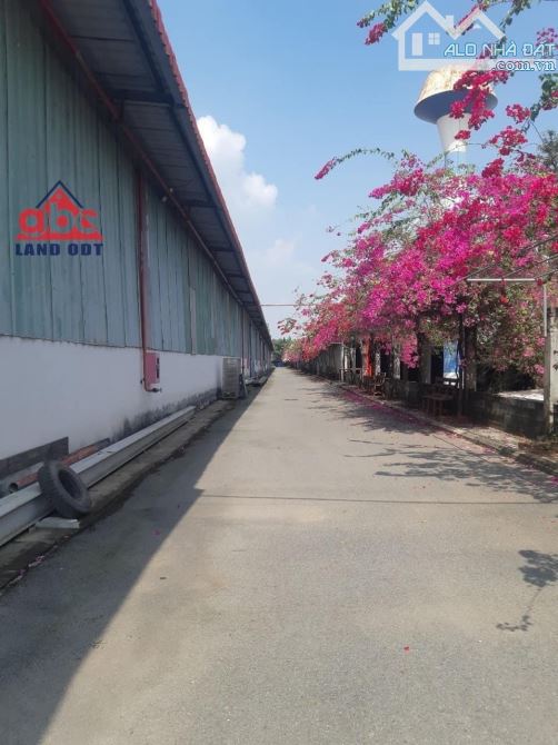 🅾️BÁN xưởng 20.000m2 ( 2mẫu ) trong KCN tam phước -  TP.Biên Hoà - 11