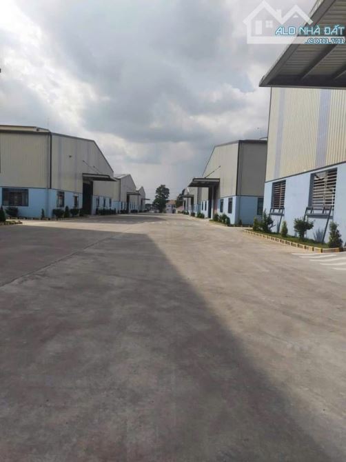 CHO THUÊ XƯỞNG TÂN UYÊN BÌNH DƯƠNG-DT=40.500M2, GIẤY TỜ ĐẦY ĐỦ - 1