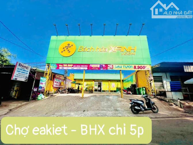 Bán Đất 2 Lô Liền kề Đất Đỏ Bazan Xã Ea Kiết full 70 gốc cafe Giá 180tr - 3