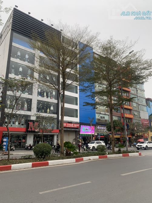 NHÀ MẶT PHỐ LIỄU GIAI, BA ĐÌNH, KINH DOANH SẦM UẤT, LÔ GÓC, VỊ TRÍ ĐẸP, 75M2, MT 6m, 40 TỶ - 3