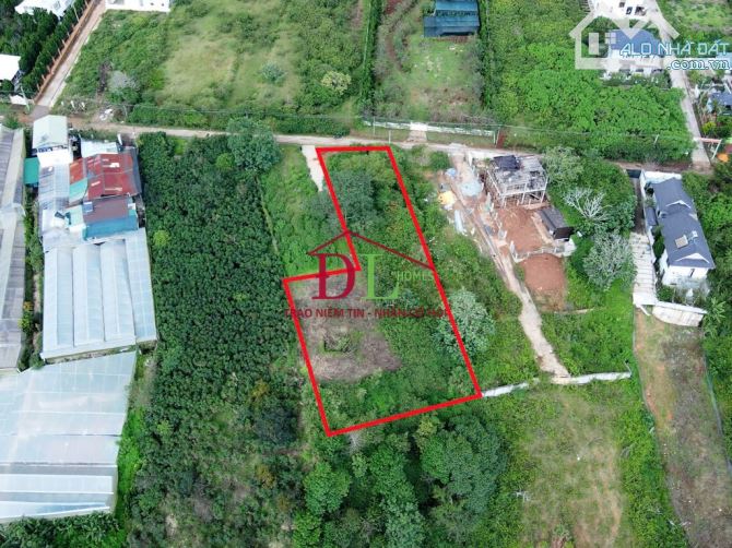 3792 🏞⛺️🏡 ĐẤT MĂNG LIN 2.401M2 - CÓ THỂ CHUYỂN FULL XÂY DỰNG - VIEW ĐỒI THÔNG ĐƯỜNG OTO - 4