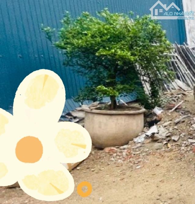 BÁN LÔ GÓC ĐẤT BIỂN ĐÀ NẴNG Ô TÔ ĐẾN TẬN NƠI THÔNG TỨ HƯỚNG.
