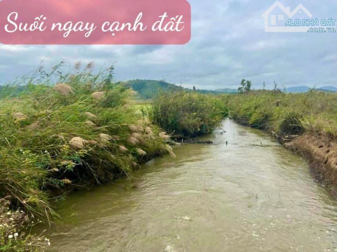 140#♥️♥️Ea Hu, Cư Kuin, Đăk Lăk♥️♥️  🔰🔰mặt tiền ngang 10m; diện tích từ 500m2, full hồng - 1