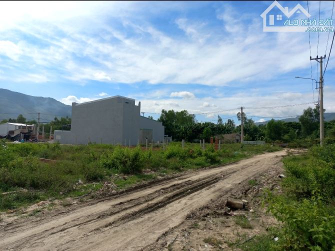 Bán đất khu vực 7,phường Bùi thị Xuân,TP Quy Nhơn, Bình Định - 4