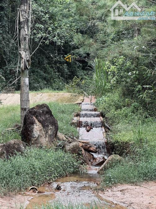 Bán lô đất cực đẹp nằm mặt tiền đường khe sanh, thích hợp làm KDL hoặc làm khu nghỉ dưỡng - 2