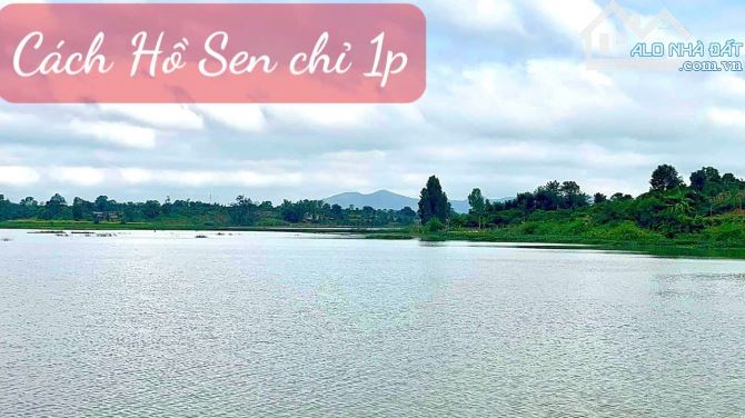 140#♥️♥️Ea Hu, Cư Kuin, Đăk Lăk♥️♥️  🔰🔰mặt tiền ngang 10m; diện tích từ 500m2, full hồng - 2