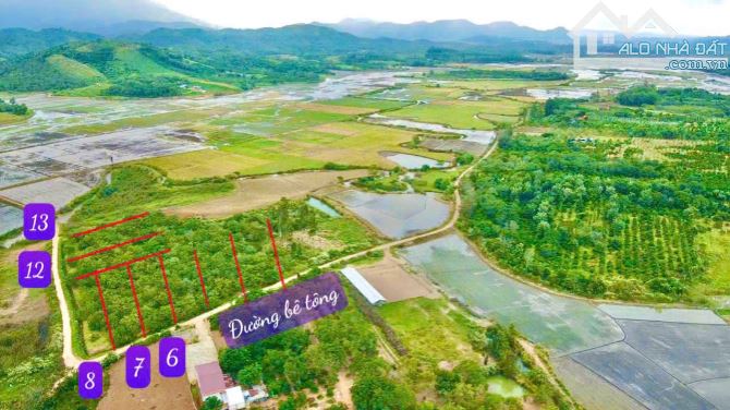 140#♥️♥️Ea Hu, Cư Kuin, Đăk Lăk♥️♥️  🔰🔰mặt tiền ngang 10m; diện tích từ 500m2, full hồng - 4
