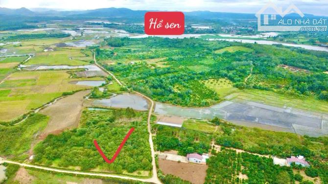 140#♥️♥️Ea Hu, Cư Kuin, Đăk Lăk♥️♥️  🔰🔰mặt tiền ngang 10m; diện tích từ 500m2, full hồng - 7